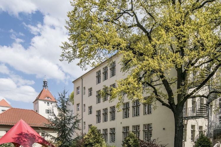 berlinadultos1