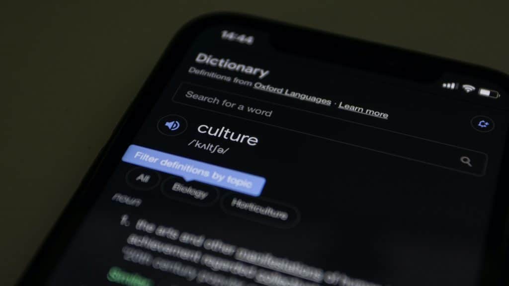 Diccionarios online